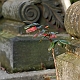 friedhof_16