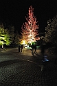 2011_1022_heleu_071