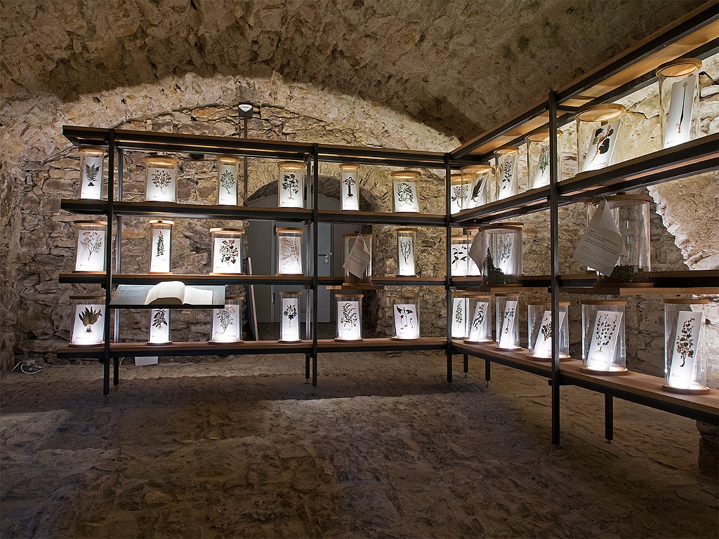 15_0506_dalheim_O_387