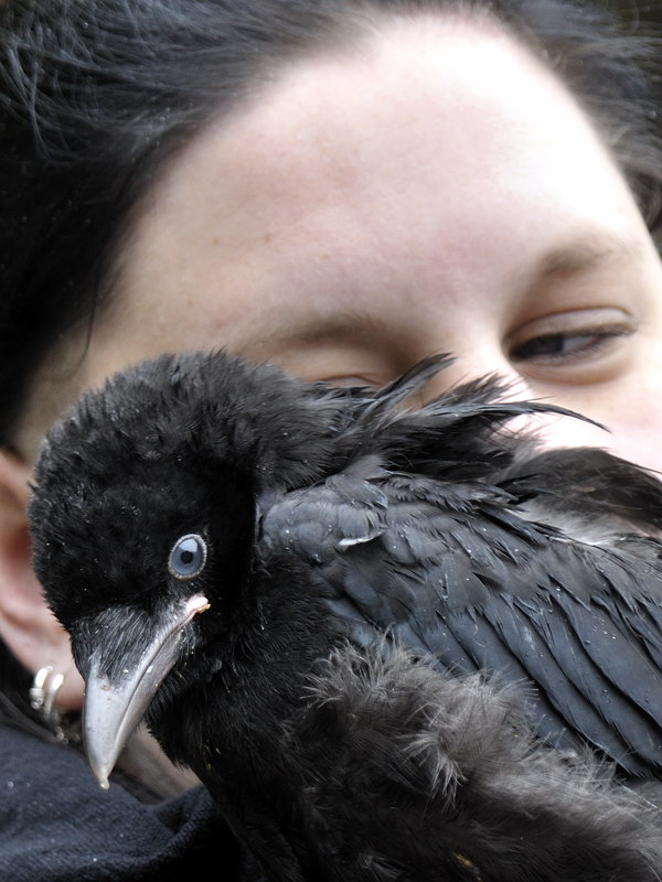 mamengede_060609_006