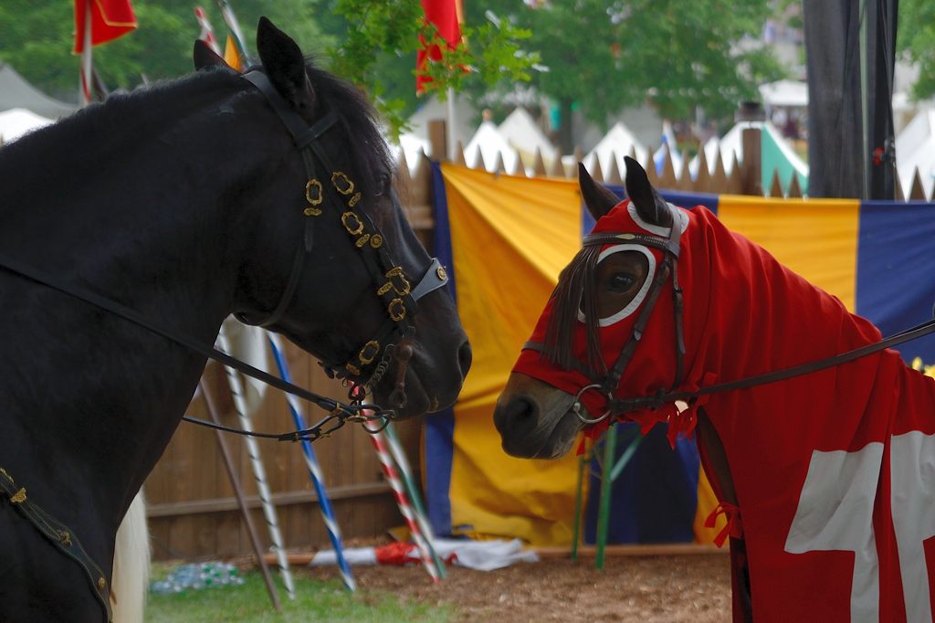 12_2705_mabroich_016