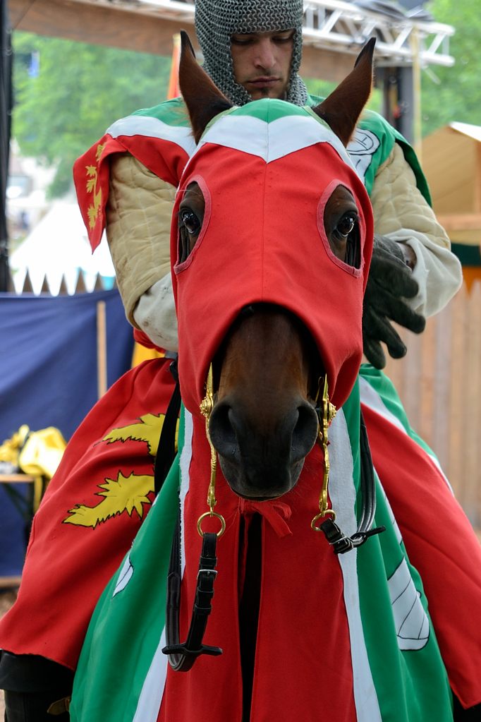 12_2705_mabroich_019