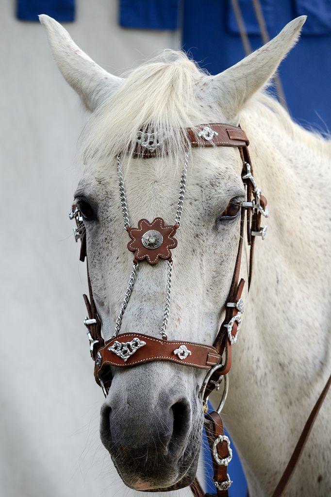 12_2705_mabroich_032