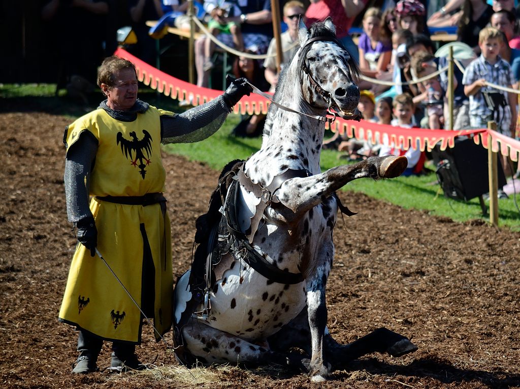 12_2705_mabroich_131