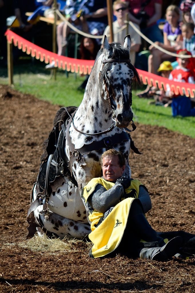 12_2705_mabroich_142