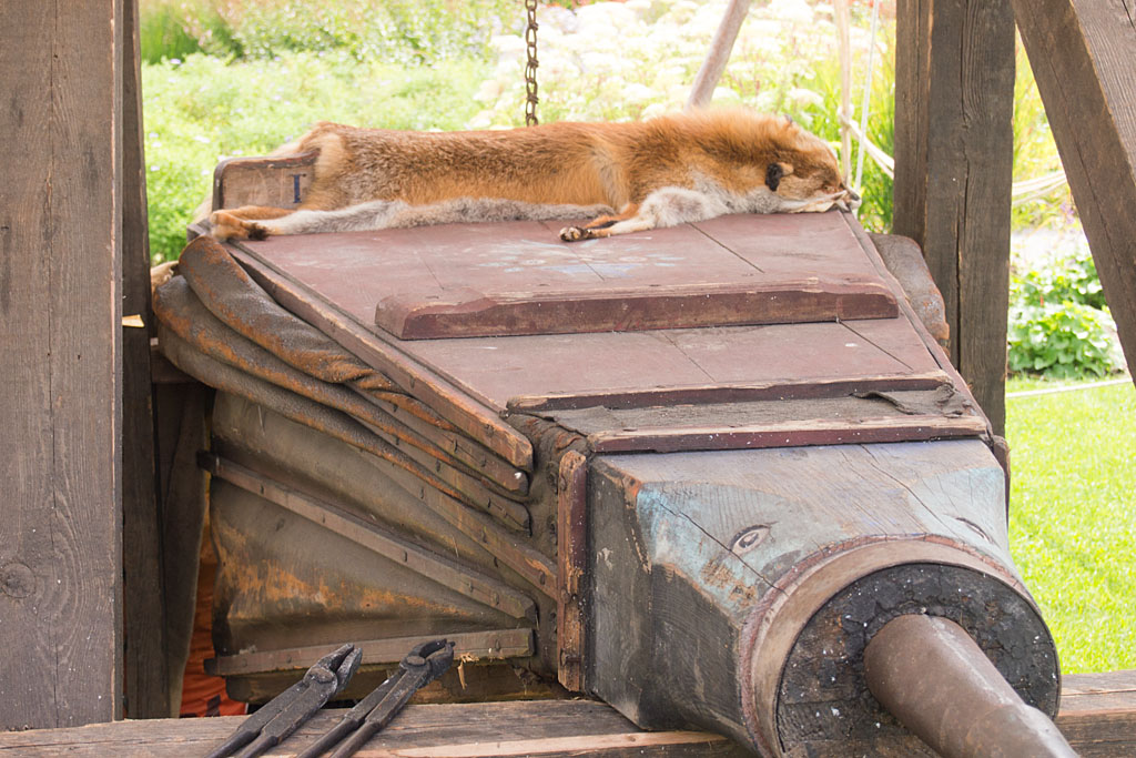 14_1608_wik_maxi_047