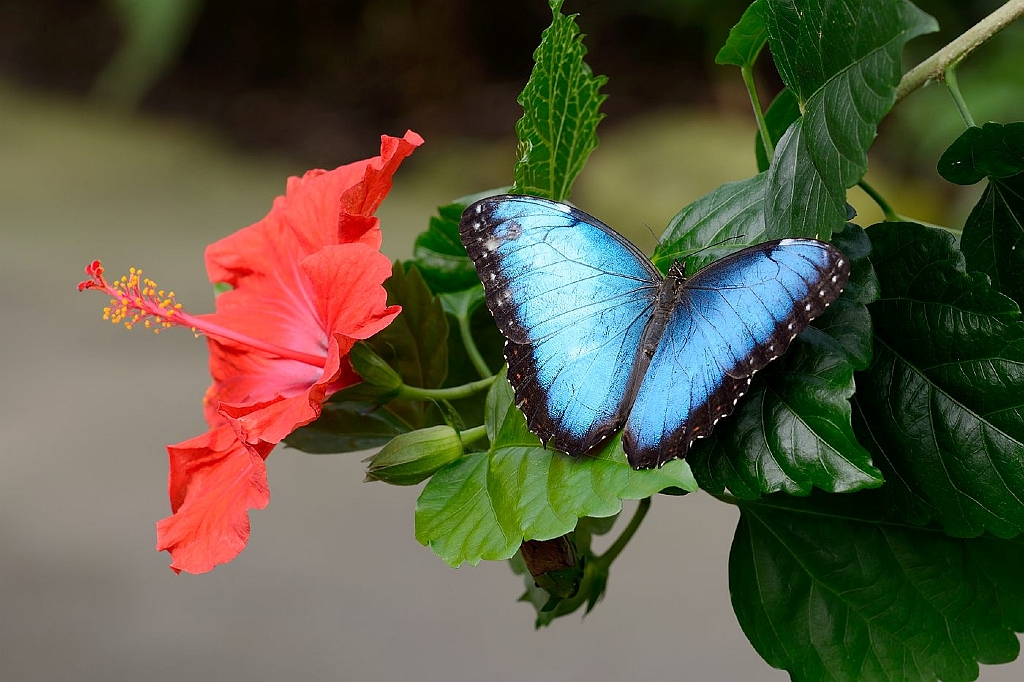 13_2203_lings03_1931