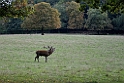 13_1310_ww_1010