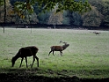 13_1310_ww_1012