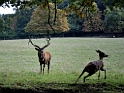 13_1310_ww_1014