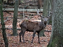 13_3110_ww_4385