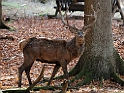 13_3110_ww_4404