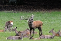 2011_10_08_ww_004
