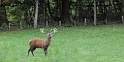 2011_10_08_ww_012