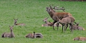 2011_10_08_ww_016