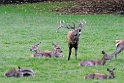 2011_10_08_ww_038
