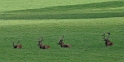 2011_10_08_ww_148