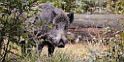2011_10_09_ww_046