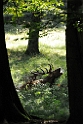 2011_10_14_ww_010