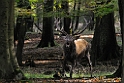 2011_10_14_ww_045