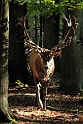 2011_10_14_ww_083