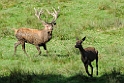 2011_10_14_ww_184
