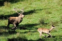 2011_10_14_ww_253