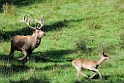 2011_10_14_ww_253_2