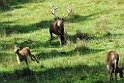 2011_10_14_ww_274