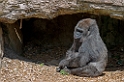 15_3005_utmszoo_180