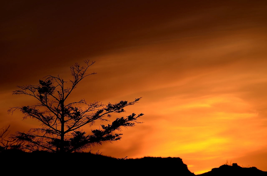 12_DK_0304_Knude_097