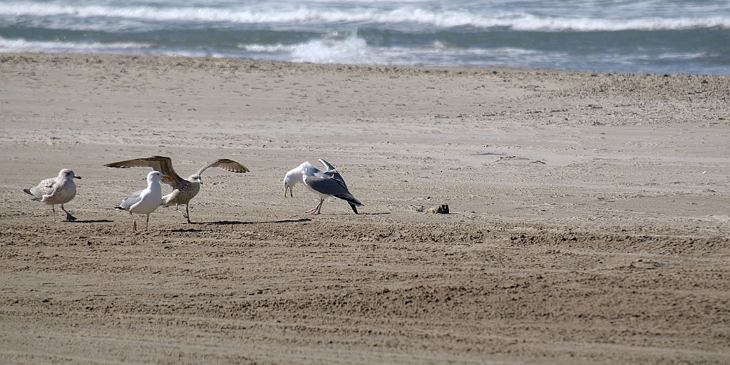 12_DK_0704_loekk_026