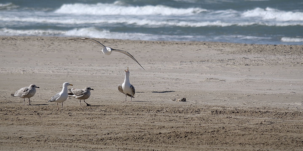 12_DK_0704_loekk_027