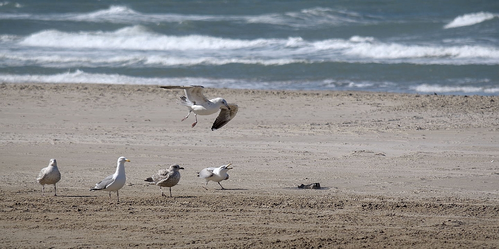 12_DK_0704_loekk_028