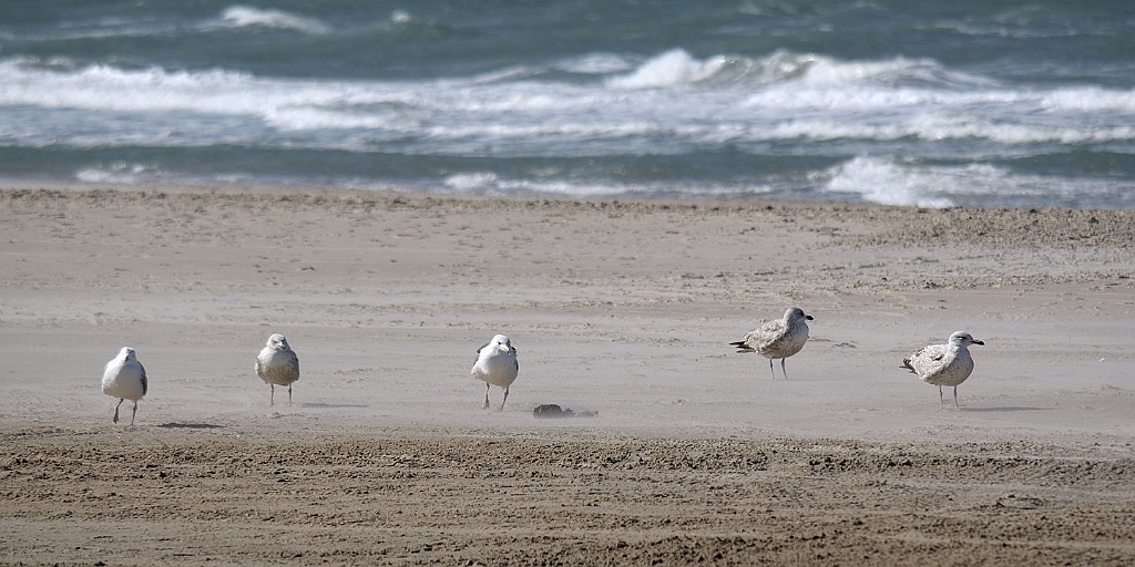 12_DK_0704_loekk_034