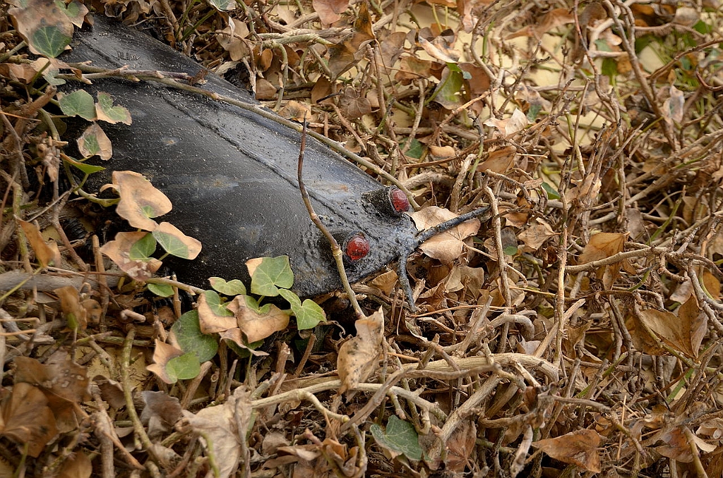 12_DK_1104_loens_011