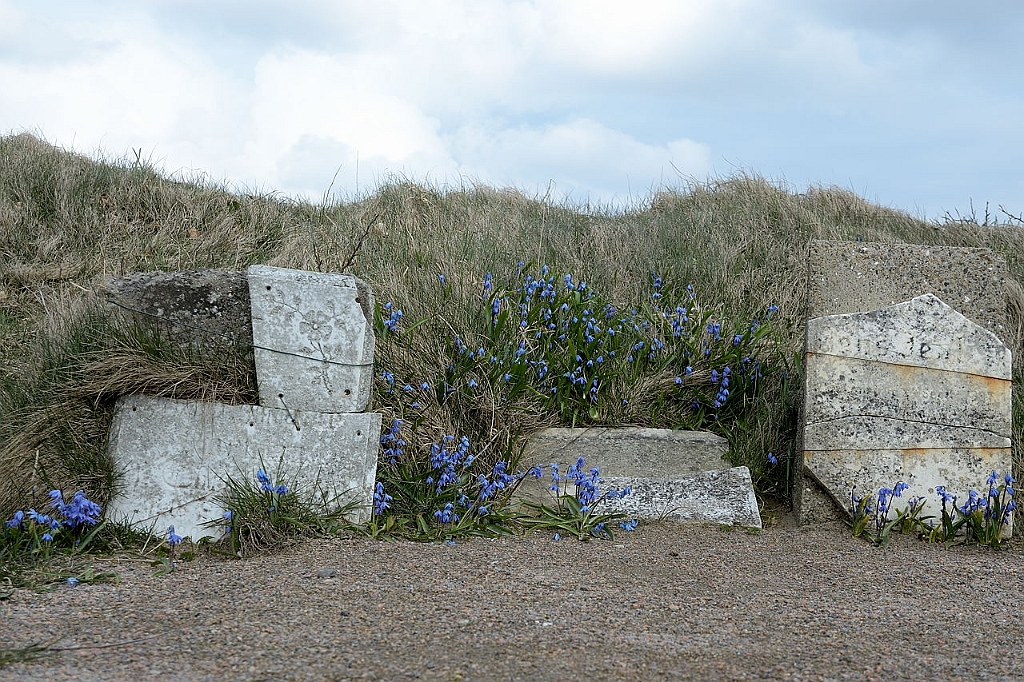 12_DK_1104_loens_053