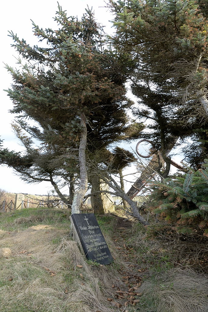 12_DK_1104_loens_079