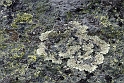2907_d7k_8869