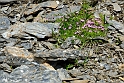 2907_d7k_8899