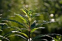 3007_d7k_9076
