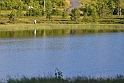 3007_d7k_9078