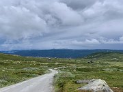 IMG_7994