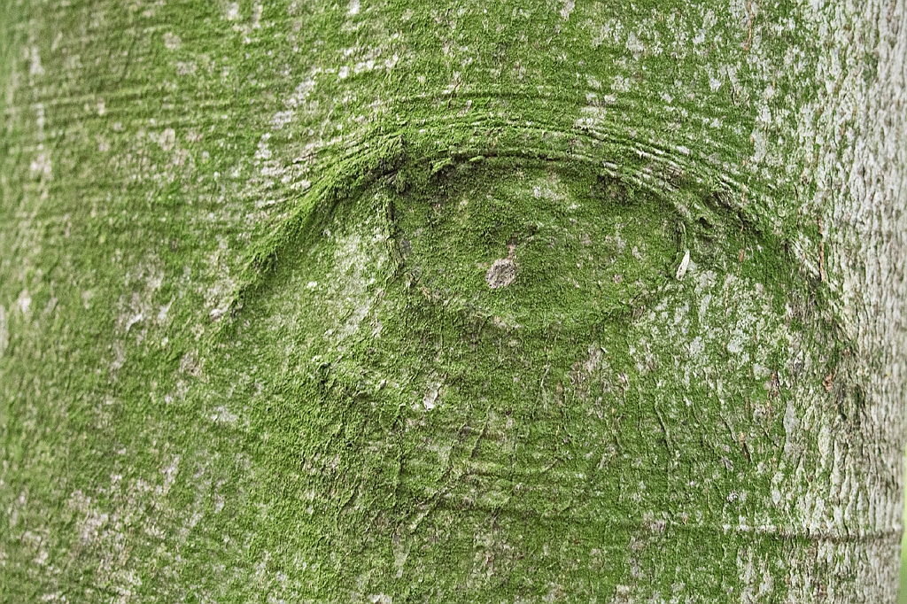 14_0109_Nordkirchen1_001