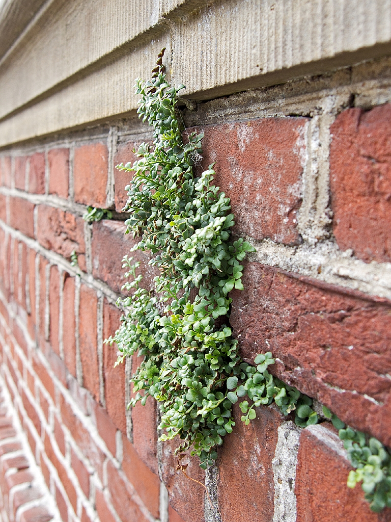 14_0109_Nordkirchen1_019