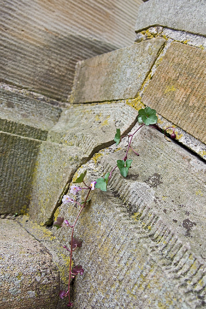 14_0109_Nordkirchen1_021