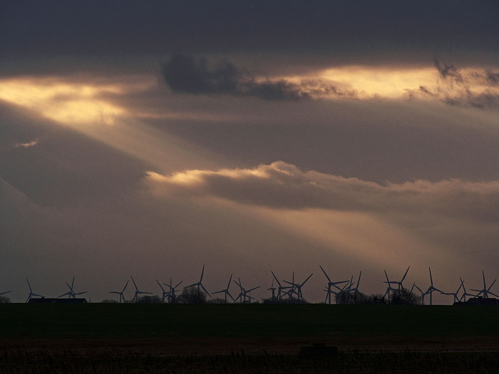 PC300081_bearbeitet-1