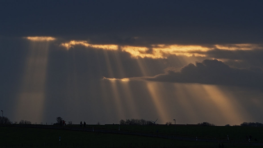 PC300096_bearbeitet-1