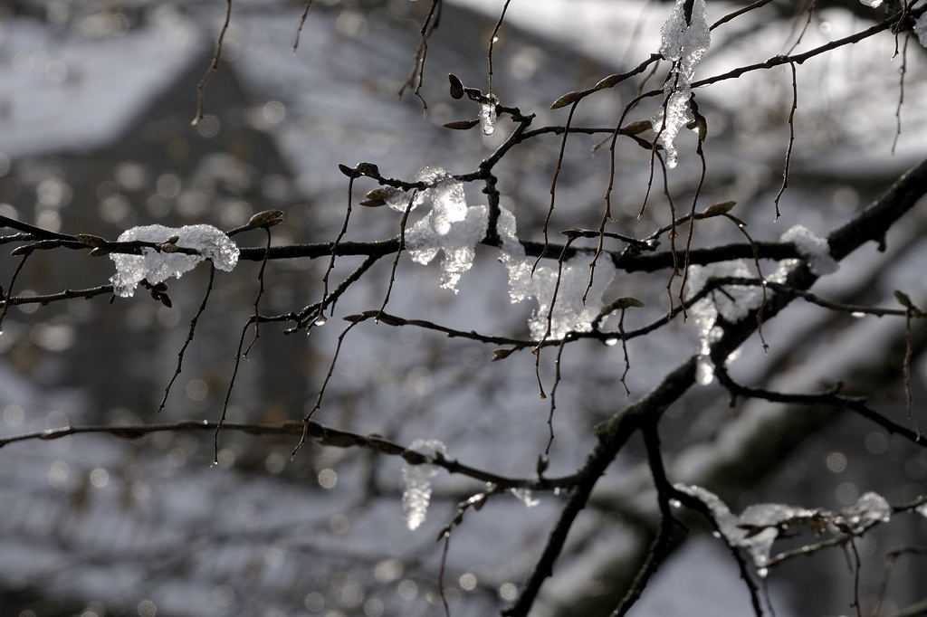 altenberg_210210_010