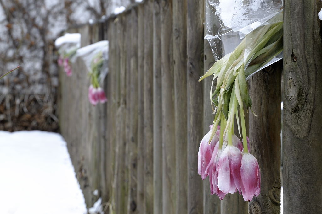 altenberg_210210_011